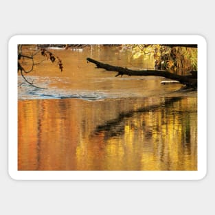 Golden Autumn Reflection in the Water Sticker